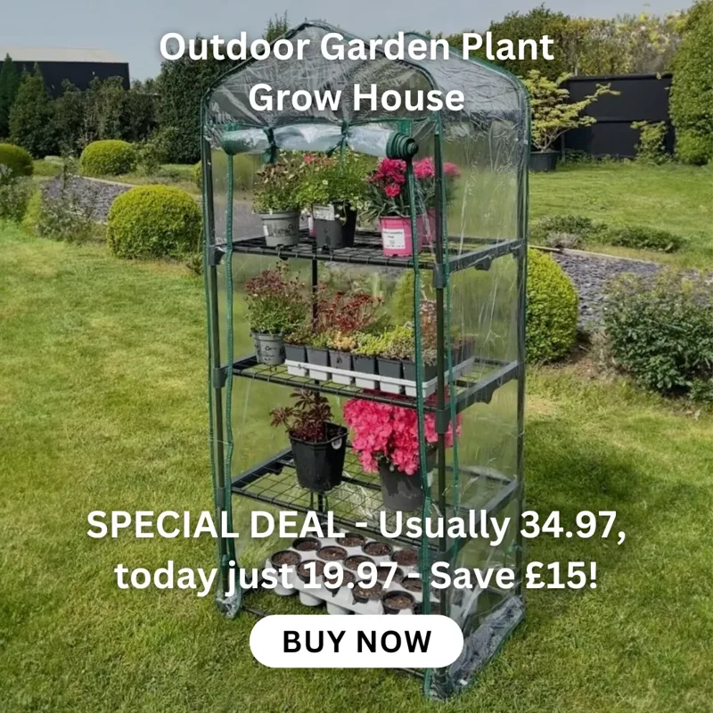Outdoor Garden Plant Grow House